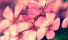 2020鼠年农历十一月出生的男孩命运解析，脑子灵光，事业成就突出