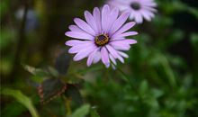 1994年的何时运气不佳(图文)