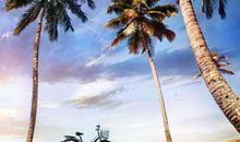 属兔人和属狗人是天生一对吗 恋爱会长久吗(图文)