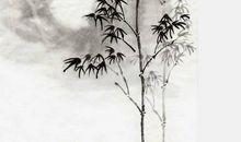 2020年10月23号霜降出生男孩起什么名字好