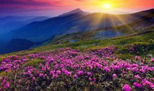 2019猪年出生的姓呼延男孩怎么样起名字 姓呼延男孩好名推荐(图文)