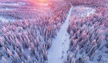 属羊的父母生什么属相的孩子最好(图文)