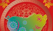 属猪的2020年运势怎么样