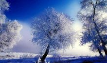 2019年冬至能不能祭祀祖先,冬至烧纸上午还是下午好？(图文)