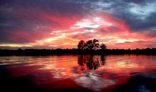 神叨酱一周塔罗运势（2.10-2.16）