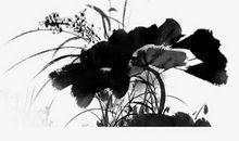 属马女和属牛男的相配吗 婚姻状况怎么样(图文)