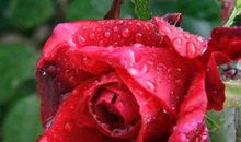 恭喜3生肖，11月开始大难已过，钱财好运越来越多，越过越顺