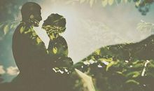 若分手是结局这五生肖无法继续