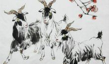 天生就是痴情种的3生肖男，对老婆情有独钟，老了胖了也不嫌弃