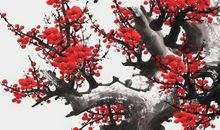 2020年农历四月十一出生的男孩如何起名字，五行属什么