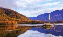 2020年鼠年贺岁金银币