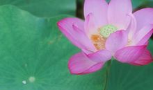 先苦后甜！2月银行存款破千万，注定富甲一方，腰缠万贯3生肖