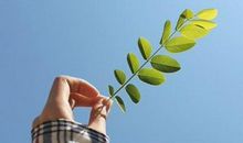 12星座如何甩掉内心的焦虑浮躁？