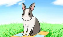 无效率的努力，到底是白费半天力气，是一无所获的4个生肖