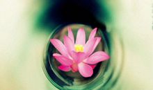 属牛人出生月的命运了解下