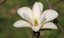 2020年财运会一败涂地的四大星座