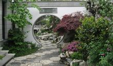 庭院绿化适合种什么树 哪些风水好