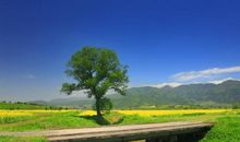 2019猪年出生的濮姓男孩怎么样起名字 姓濮男孩好名推荐(图文)