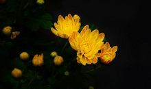 3月运气糟糕，4月却迎来转折，财运迅速回暖的生肖！