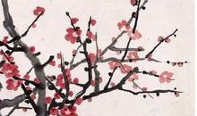 2020年5月7号出生的女孩起什么名字气质好，五行属什么