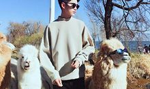 最旺老板的星座员工前五名