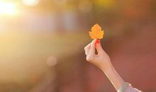 5月4日星运势（幸运星座：狮子、天蝎、双鱼）