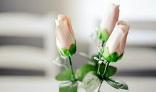 十二生肖运势天天看，明日运势：1月31日