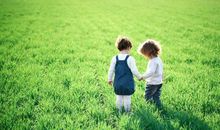 今年怀孕，明年生育的生肖人