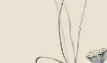 2020庚子鼠年3月9号出生的人性格命运解析，五行八字查询