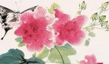 2020年5月14号出生的女孩如何起名字好，是什么星座