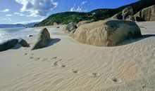 2019年穷，2020年富，财运大开，事业兴旺的四大生肖