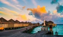 11月13日生肖运势 鸡、猴、鼠大吉