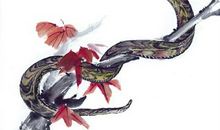 玄清风水命理：农历11月运势上涨，偏财到手的3生肖，财富入库，前途不可限量