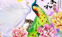 猪年运势上吉，前途光明的4个生肖，财运蒸蒸日上