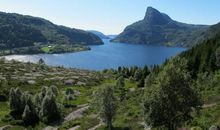 五生肖运势好转，3月起财运如虹，日子红红火火