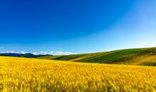 1.31号后，大富特富的4生肖，财路宽广，有贵人相助