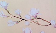 2020年2月14号正月二十一出生的男孩命运好吗，起什么名字有福气