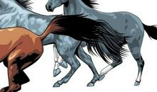 2014年属马的人2021年运势 8岁佩戴什么吉祥物好