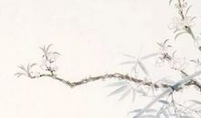 2020年5月1号劳动节四月初九日生的男孩命运好吗，结合楚辞取名