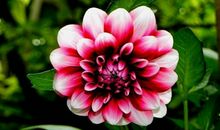 未来5个月财源广进，大器晚成的4生肖，顺风顺水，让人跪拜