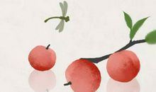 生辰八字取名：2020年2月21号的出生男孩起什么名字好