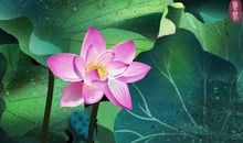 11月底，富贵吉祥，百事大吉，年年有余的四个生肖