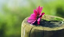 最好的风水！（深度好文）