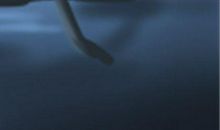 某些名字有一些推荐的名字