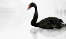 生辰八字取名：2020年鼠年除夕出生的女孩怎么起名字