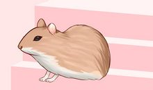 生肖婚姻关键词，生肖学被忽略的学问，你来看看准不准