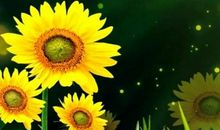 这三大生肖近三天官财两旺，全家运势好的不得了