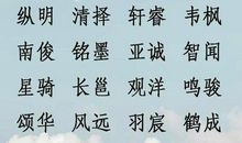 2019猪年出生的欎姓男孩怎么样起名字 姓欎男孩好名推荐(图文)