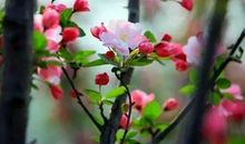 天生情商极高，在生活中不缺好人缘，受众人喜欢的三大生肖女