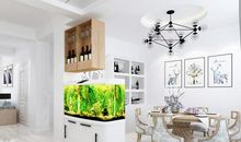 养观赏鱼哪种好？懂行的朋友们都知道，风水寓意太重要了